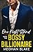 One Night Stand With The Bossy Billionaire by Meghan Blake