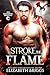 Stroke the Flame (Her Elemental Dragons, #1)