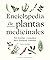 Enciclopedia de plantas medicinales: 560 hierbas y remedios para dolencias comunes