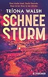 Schneesturm