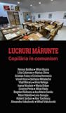 Lucruri mărunte. Copilăria în comunism