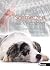Schmerzen und Verhalten: Zusammenhänge beim Hund verstehen (German Edition)