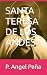 SANTA TERESA DE LOS ANDES