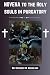 Novena to the holy souls in purgatory by Rev Spencer W. Nicholson