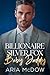 Billionaire Silver Fox Baby Daddy by Aria McDow