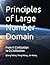 Principles of Large Number Domain: From π Civilization to Q Civilization