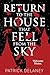 Return to the House that fell from the Sky (The Grey World Universe Book 4)