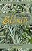 The Italian Elixir by Elisa Romano