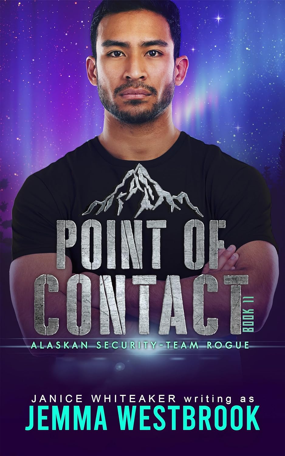 Point of Contact (Alaskan Security-Team Rogue #11)