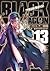 ブラック・ラグーン 13 (Black Lagoon, #13)