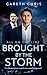 Brought by the Storm by Gareth Chris