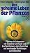 Das Geheime Leben Der Pflanzen by Peter Tompkins Das Geheime Leben Der Pflanzen by Peter Tompkins