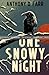 One Snowy Night: A Short Story Collection