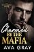 Charmed by the Mafia (The B...