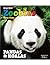 Zoobies Story Time PANDAS &...