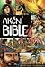 Akční Bible by David C. Cook