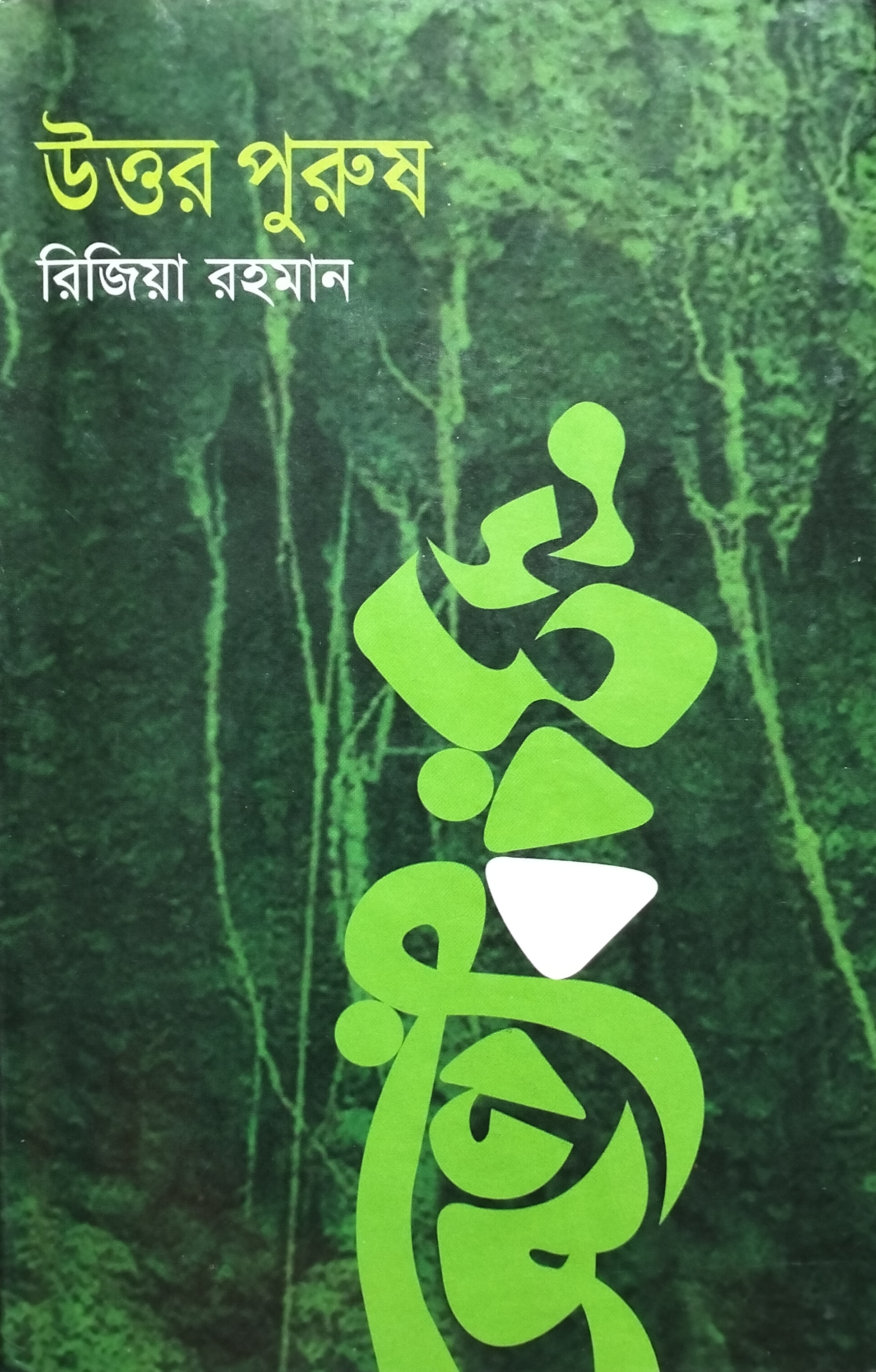 উত্তর পুরুষ