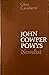 John Cowper Powys: Novelist