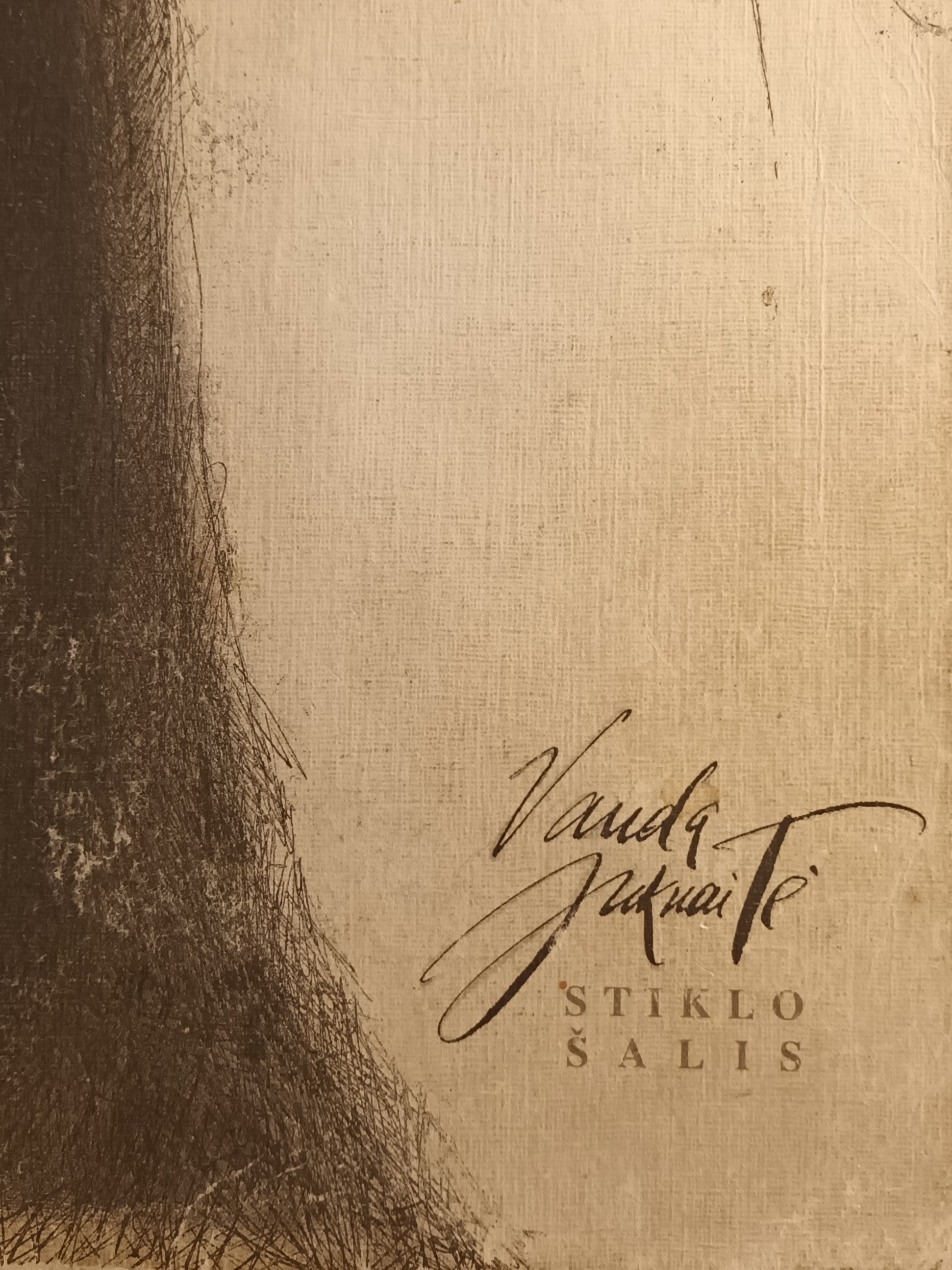 Stiklo šalis