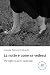 La notte è come se vedessi (Italian Edition)