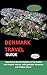 Denmark Travel Guide 2024: ...