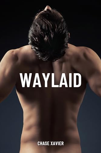 Waylaid (Kindle Edition)