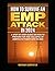 How To Survive An EMP Attack in 2024: A Step by Step Guide On How To Prepare For The Collapse of America’s Power Grid in 2024
