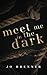 Meet Me In The Dark (Bad Heroes, #3)