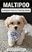 Maltipoo Complete Care & Training Guide: How to Give Your Pup His Best Life