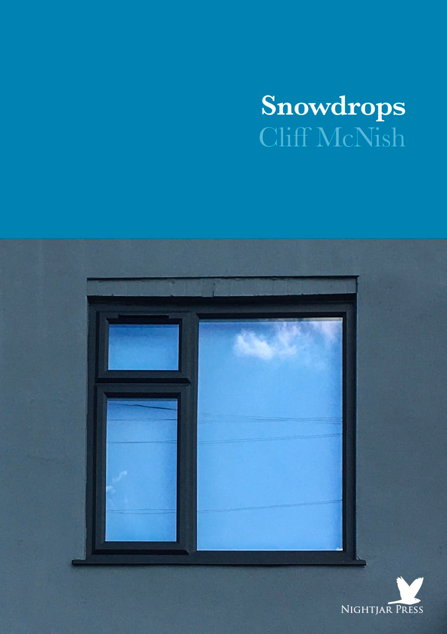 Snowdrops (Paperback)
