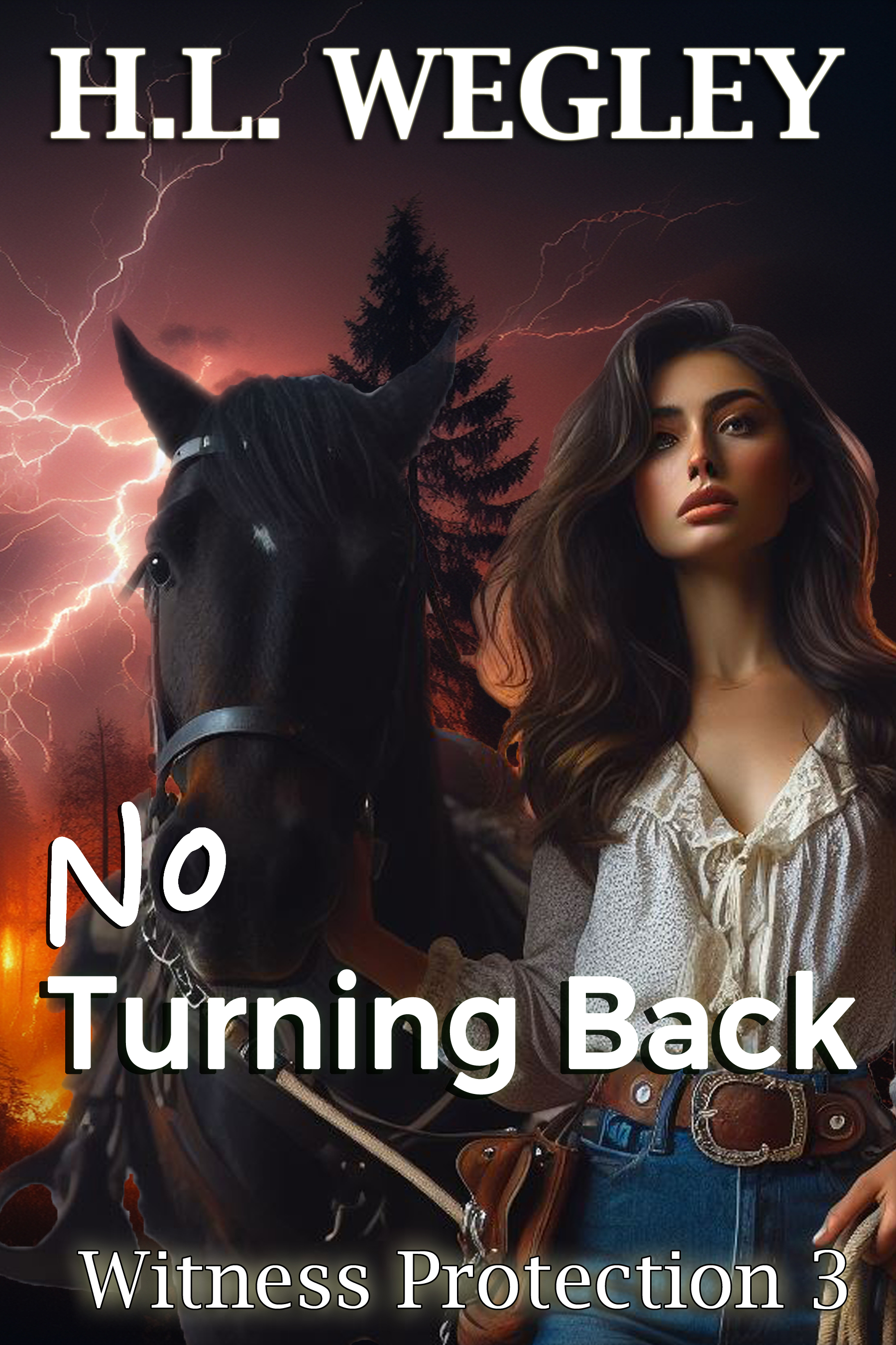 No Turning Back (Witness Protection #3)