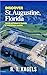 DISCOVER ST. AUGUSTINE, FLO...