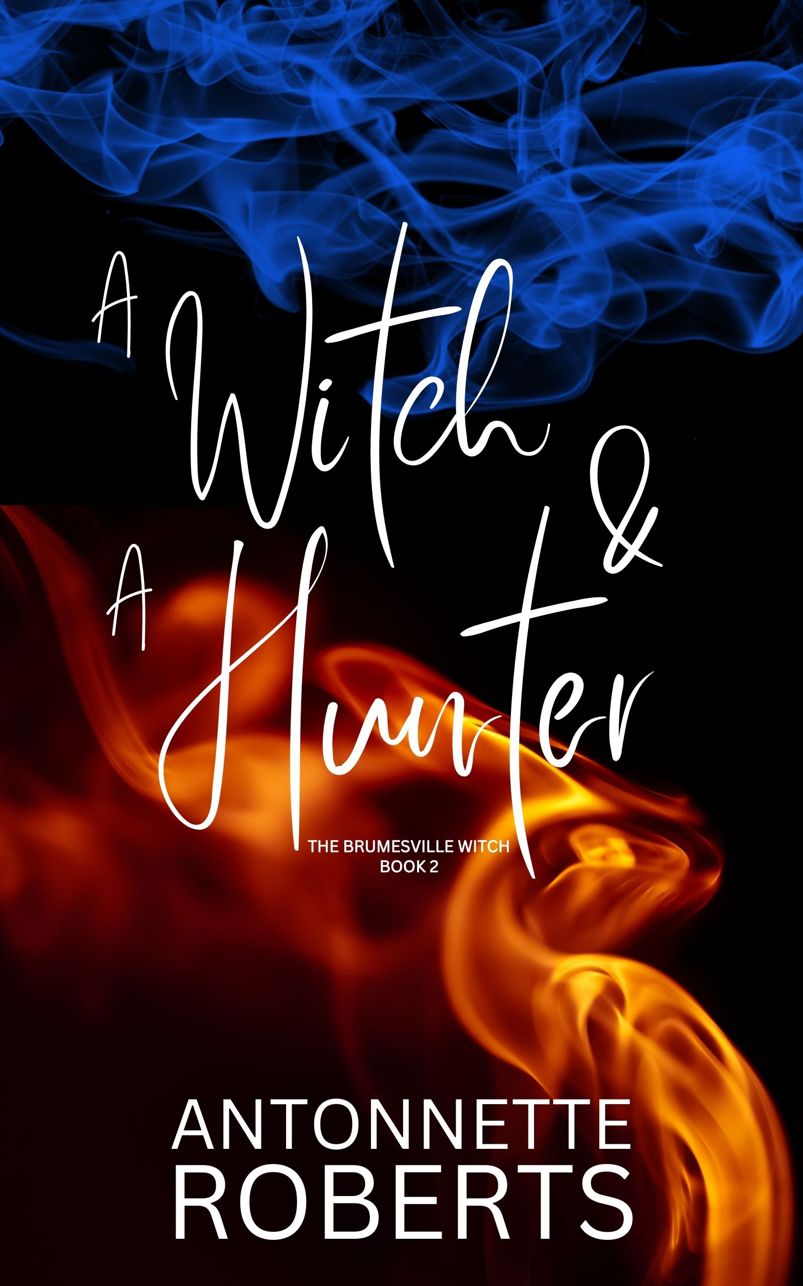 A Witch And A Hunter (The Brumesville Witch, #2)