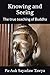 Knowing and Seeing: The true teaching of Buddha