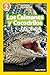 National Geographic Readers Los Caimanes y Cocodrilos (Nivel 2) by Laura Marsh