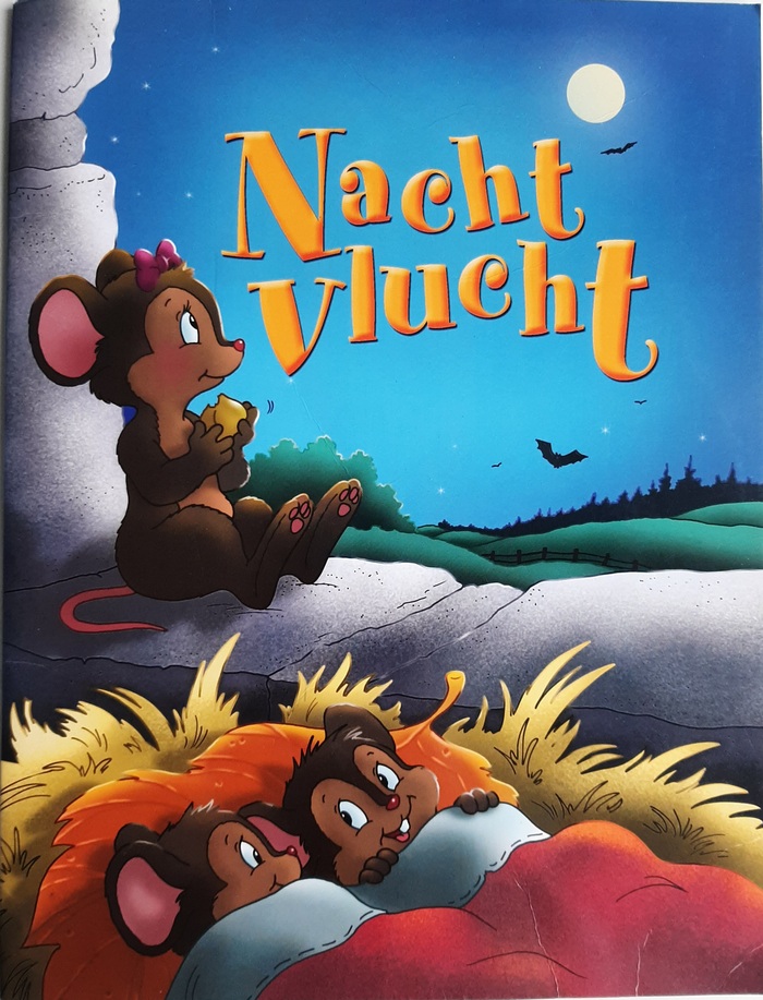 Nacht vlucht