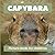 Capybara: Picture book for ...