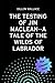 The Testing of Jim MacLean:...
