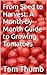 From Seed to Harvest: A Mon...