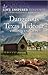 Dangerous Texas Hideout (Cowboy Protectors, 3)