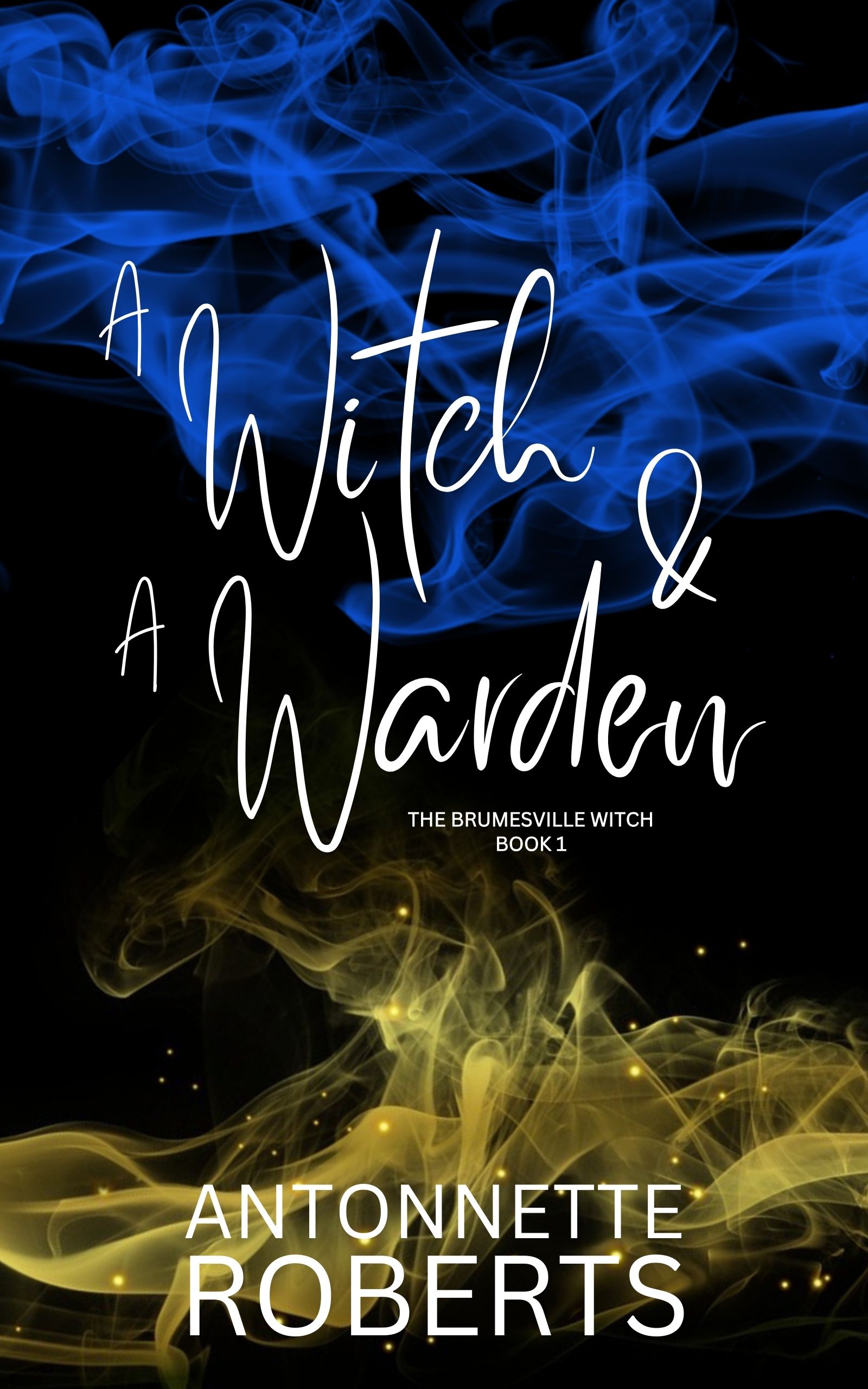 A Witch And A Warden (The Brumesville Witch, #1)