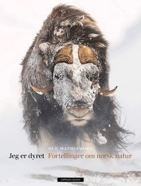 Jeg er dyret - fortellinger om norsk natur (Hardcover)