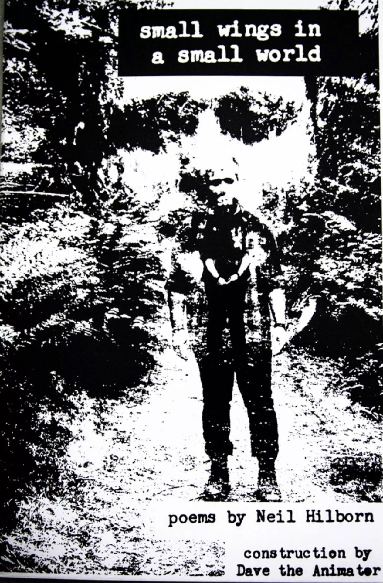 Small Wings in a Small World