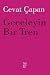 Geceleyin Bir Tren