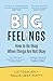 Big Feelings: How to Be Oka...