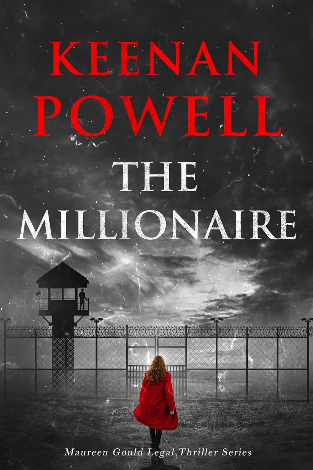 The Millionaire: A Maureen Gould Legal Thriller