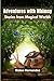 Adventures with Whimsy: Sto...