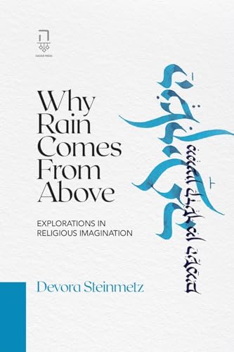 Why Rain Comes from Above: Explorations in Religious Imagination (Paperback)