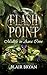 Flash Point: A Paranormal Women's Fiction Novel (Midlife in Aura Cove)