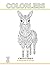 COLORLESS CREATURES: A Crea...